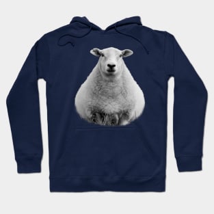 Black and White Sheep Hoodie